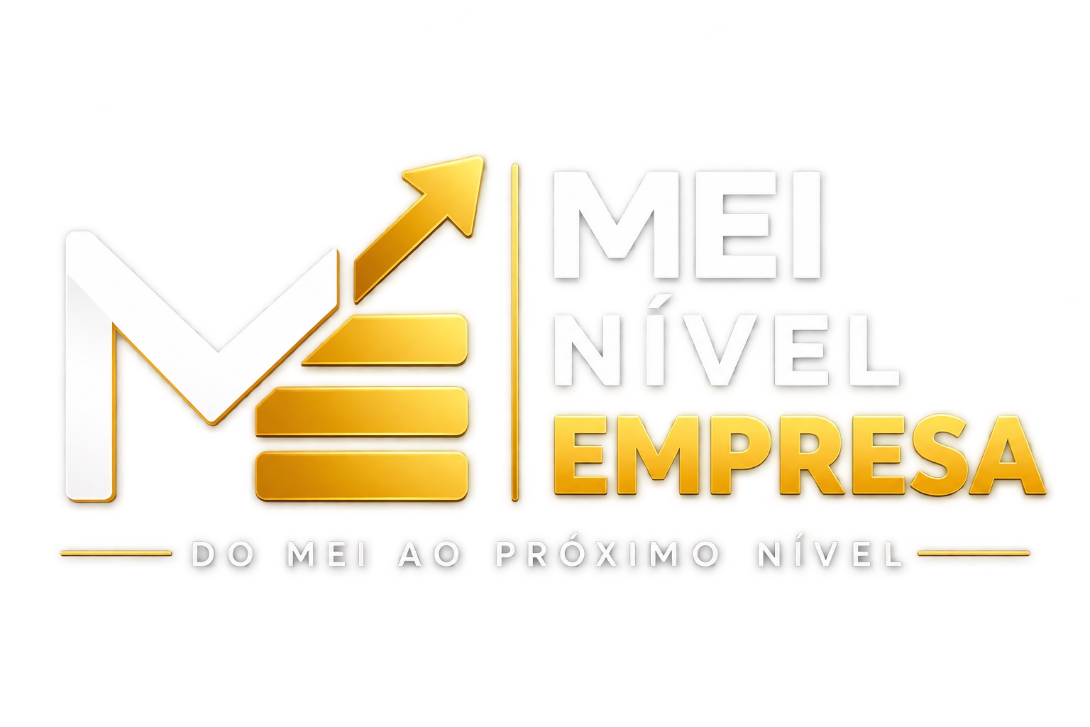 MEI Nível Empresa